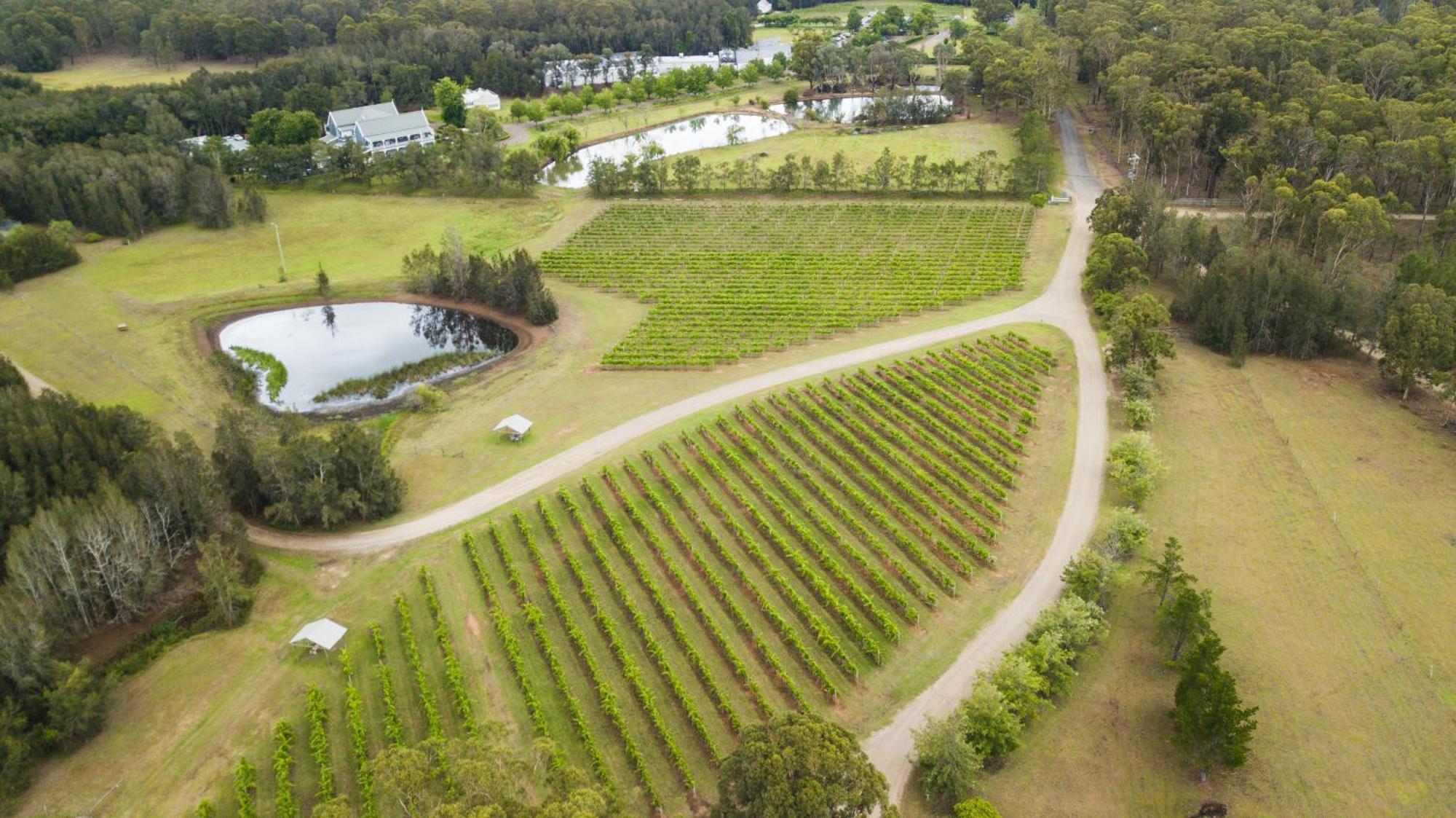 The Carriages Boutique Hotel And Vineyard โพโคลบิน ภายนอก รูปภาพ